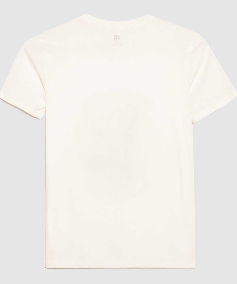 camisetas niño
